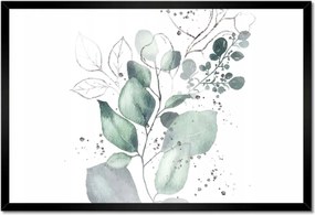 Poszter keretben 60x40 Eukaliptusz ág