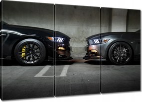 Vászonkép 120x80 Face to face Mustang