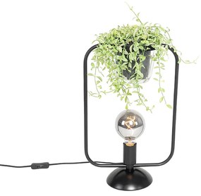 Modern asztali lámpa fekete téglalap alakú üveggel - Roslini