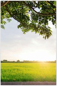 Poszterek 80x120 Misztikus naplemente