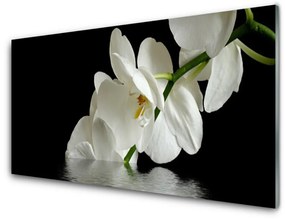 Akrilüveg fotó Orchidea virágok vízben 100x50 cm
