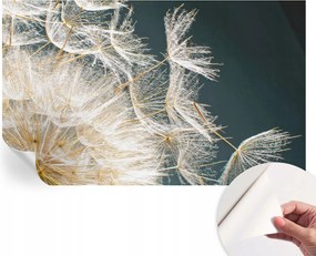 Öntapadós tapéta Fali furnér 3D Pitypang könnyedség 416x254 cm