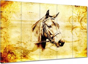 Vászonkép 100x70 Lófej