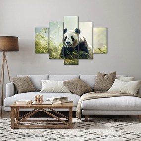Kép - Panda (150x105 cm)