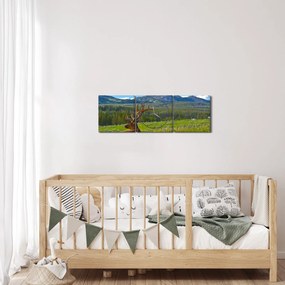 Kép - Szarvas a réten (órával) (90x30 cm)