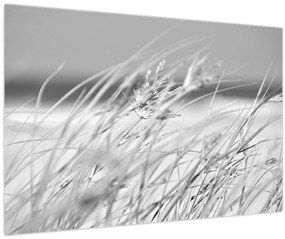 Kép - Strandfű (90x60 cm)