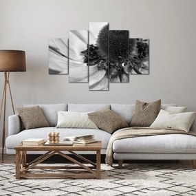 Kép - Virág fekete-fehérben (150x105 cm)