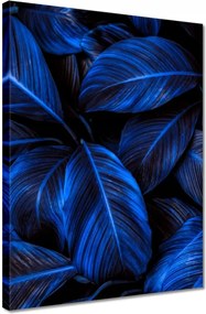 Vászonkép 30x40 Kék levelek