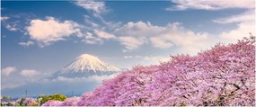 Kép - Japán tavaszi táj (120x50 cm)