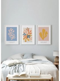 Coral Paradise kép