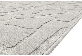 Világosszürke gyapjú szőnyeg 133x190 cm Morphic Dunes – Agnella