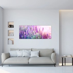 Kép - Levendula a csillogó napban (120x50 cm)