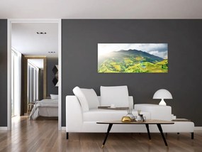 Ültetvények képe (120x50 cm)