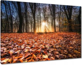 Festmények 100x70 Őszi kilátás Tájkép