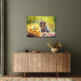 Macska képe ahogy a virágot nézi (70x50 cm)