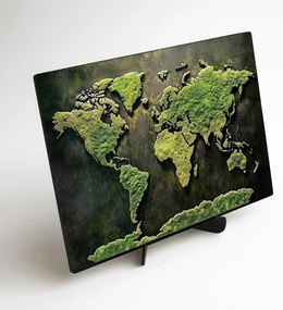 DUBLEZ | Fából készült mohás világtérkép