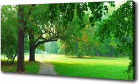 Őszi park vászonkép 100x70 cm