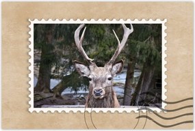 Poszterek 90x60 Szarvas agancs