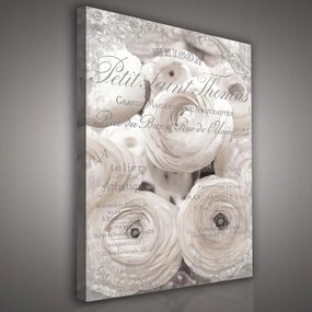 Vászonkép 75x100 Vintage Shabby Chic virágok fehér szürke retro tipográfia romantika