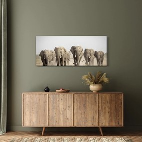 Kép - Elefántcsorda (120x50 cm)