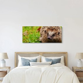 Sündisznó képe (120x50 cm)