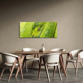 Kígyó képe (120x50 cm)