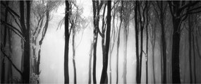 Kép - Farkas a sötét erdőben (120x50 cm)