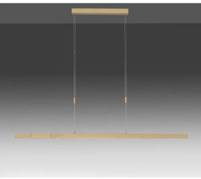 Paul Neuhaus 2568-60 - LED dimmelhető csillár zsinóron ADRIANA LED/14W/230V réz