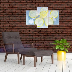 Citrom a jégben képe (90x60 cm)