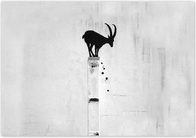 Fotótapéták 416x290 Kozica Banksy Gazella hegyi Nincs magánélet Falfestmény
