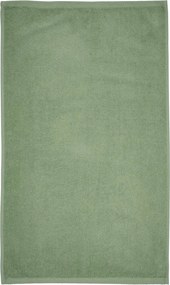 Zöld gyorsan száradó-frottír pamut fürdőlepedő 70x120 cm Quick Dry – Catherine Lansfield