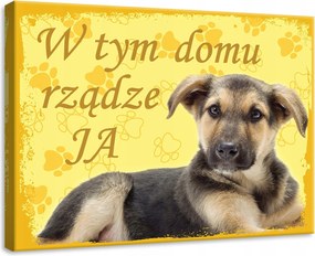 Vászonkép 70x50 Kiskutya kutyus aranyos kis kedvenc öröm hangulatos mancsok sárga