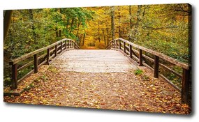Vászon nyomtatás Híd az őszi erdőben oc-55256739