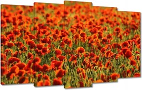 Vászonkép 100x60 Pipacsok rétje