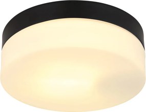 GLOBO 32111B VRANOS Modern Kültéri Mennyezeti Lámpa E27 IP44