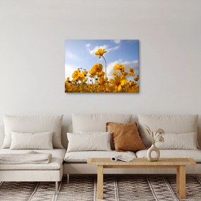 Fényes sárga virágokkal rendelkező mező képe (70x50 cm)