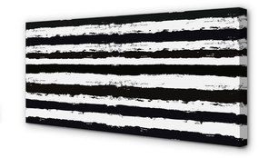 Canvas képek Szabálytalan csíkos a zebra 100x50 cm