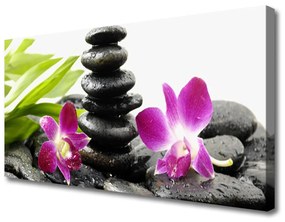 Vászonkép Orchid Zen Spa Stones 100x50 cm