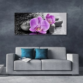 Üvegkép Orchidea virágok orchidea Spa 100x50 cm