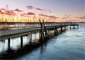 Fotótapéta flizelina Naplemente a fa mólónál Nyugalom 208x146 +ragasztó