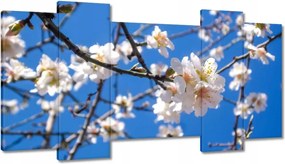 Vászonkép 120x65 Almafa virág