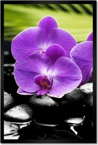 Poszterek keretben 40x60 Lila orchideák