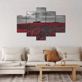 Pipacsos kép (150x105 cm)