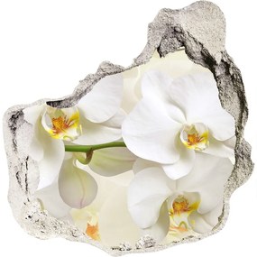 Fali matrica lyuk a falban Orchidea nd-p-123330197