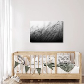 Kép - Fű a szélben (90x60 cm)