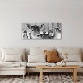 Kép - Szarvas, fekete, fehér (120x50 cm)