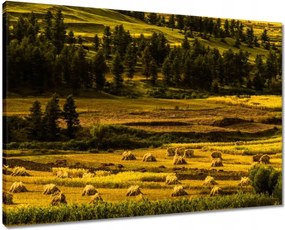 Våszonkép 70x50 Tåjkép Låtvåny