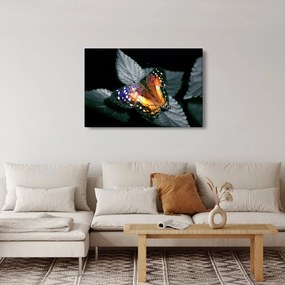 Pillangó képe (90x60 cm)