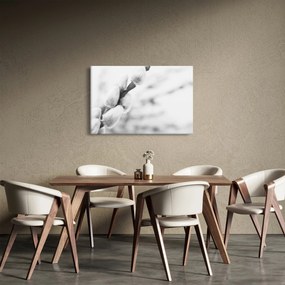 Kép - A tavasz kezdete (90x60 cm)