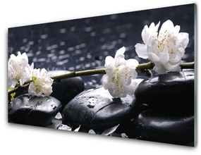 Modern üvegkép virág Stones 100x50 cm